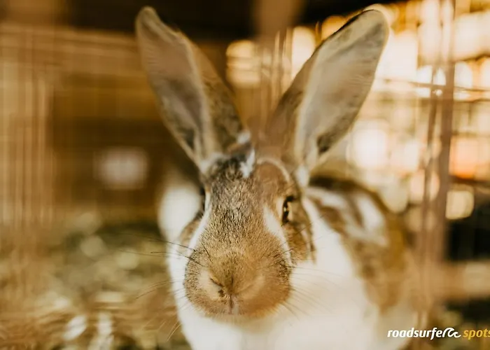 Beste Hotels in Schwaigern für Ihren Aufenthalt