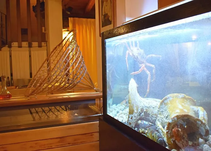 Hotel Santa Maria Castellabate