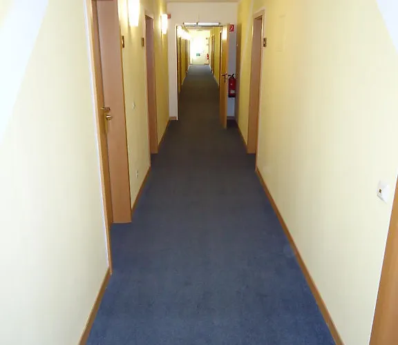 Bestes Preis-Leistungs-Verhältnis in Magdeburg