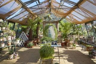 Most London flats dont have large gardens  so bringing nature indoors or to that justbigenoughforone balcony is vital....