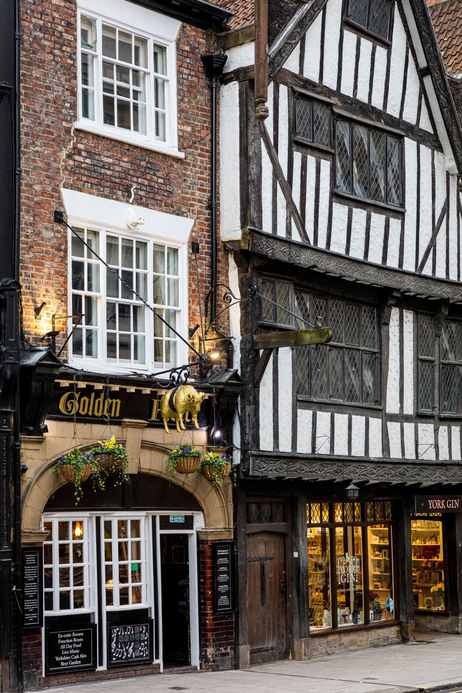 The Golden Fleece