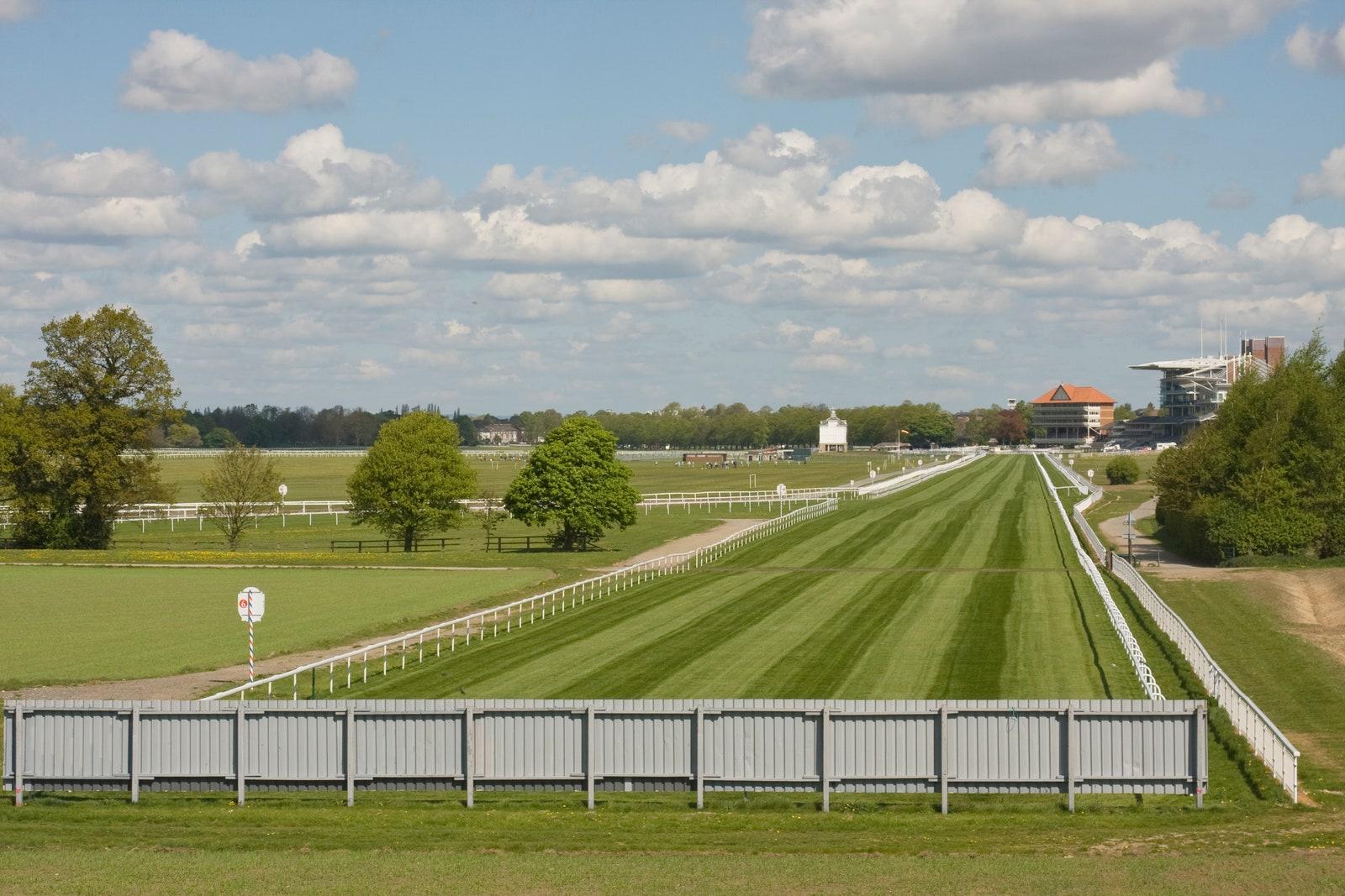 The racecourse in York